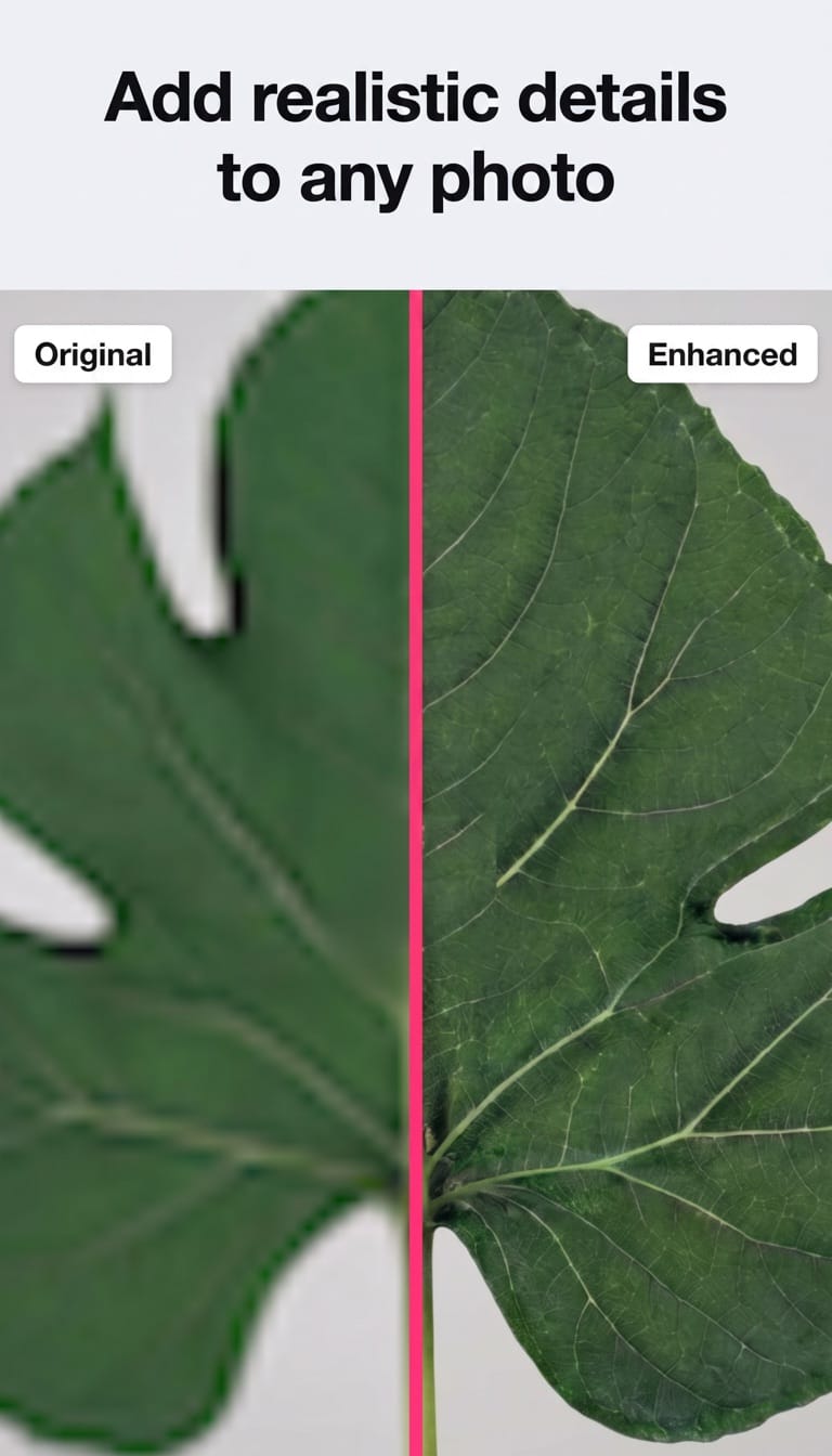 Before and after example of a leaf photo with improved detail