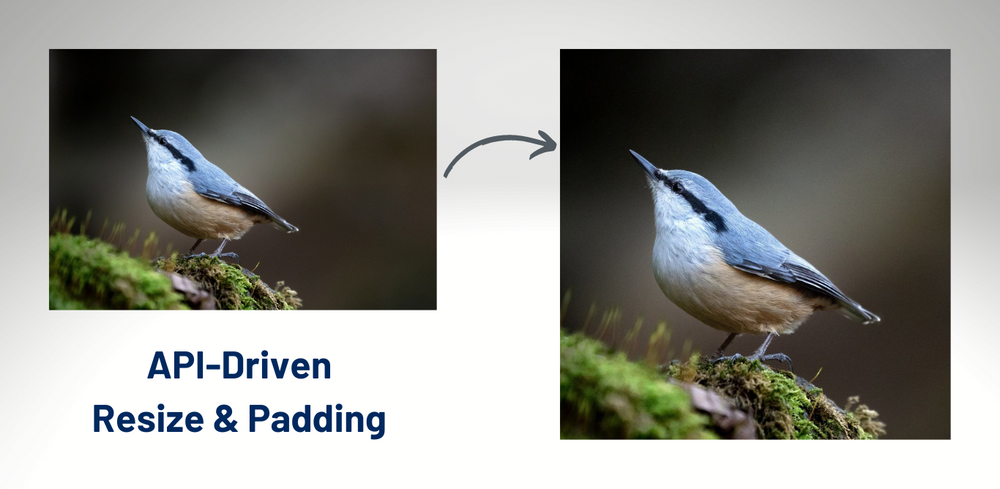 AI DEEP visual data 4