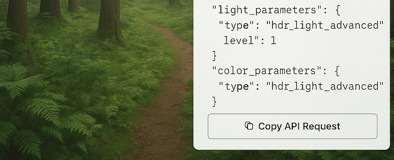 New: Copy API Request in AI Enhancer PRO & Generator PRO