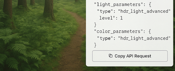 New: Copy API Request in AI Enhancer PRO & Generator PRO